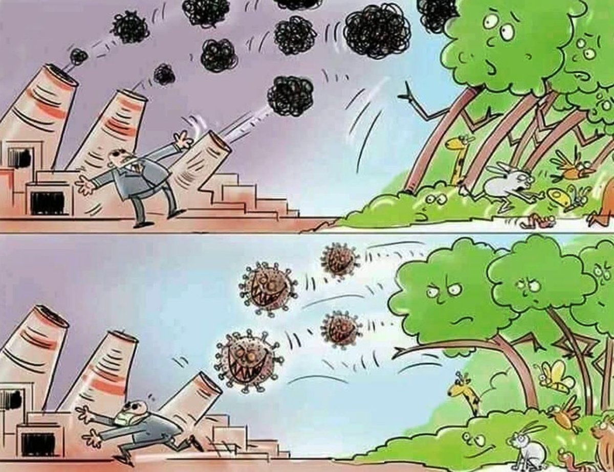 Rajitha_twitt's tweet photo. හිතන්නට යමක්.. https://t.co/Z6sT3hWneO