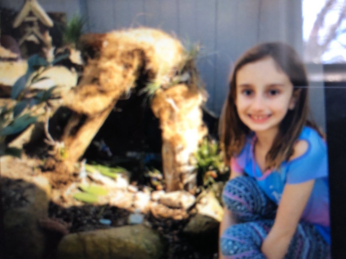 gwlswes's tweet photo. GWL innovators are looking back at their original fairy houses and modifying them after listening to this morning’s google meet read aloud titled, “Fairy Houses” by Tracey Kane. How can we improve our designs like Kristen in the book? @GWLSchool #gwlstrong https://t.co/awhA2f7pUz
