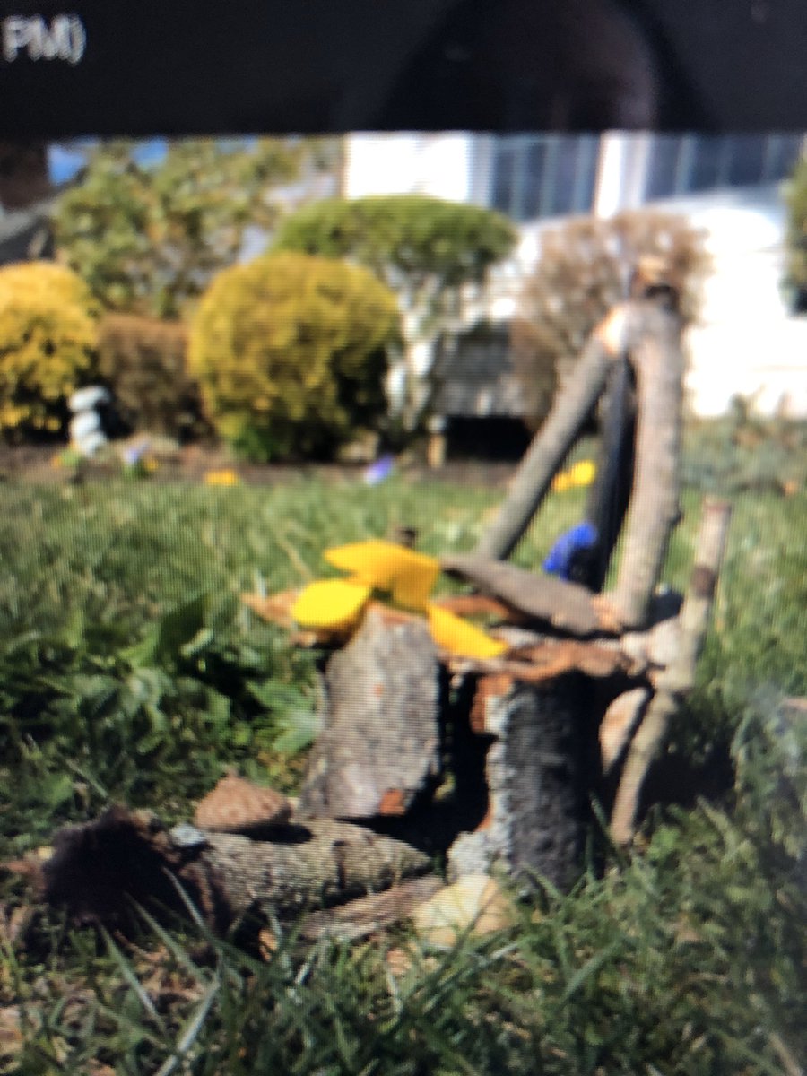 gwlswes's tweet photo. GWL innovators are looking back at their original fairy houses and modifying them after listening to this morning’s google meet read aloud titled, “Fairy Houses” by Tracey Kane. How can we improve our designs like Kristen in the book? @GWLSchool #gwlstrong https://t.co/awhA2f7pUz