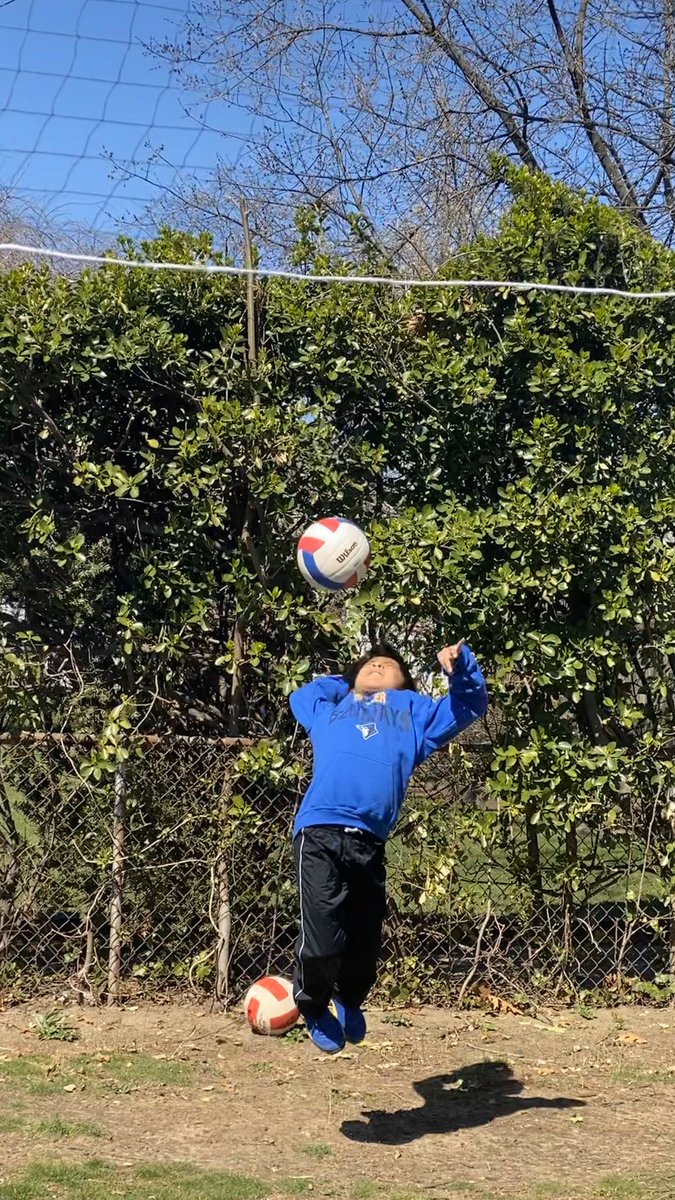 Fourstars31's tweet photo. WHEELER SPIRIT!!! Day 5 of Wheeler Virtual Spirit Week.@MsSilverman_ @MrJohnFrias @WheelerAvenue  #BlueJays #wheelerspirit #Brightsunnyday https://t.co/qNHeFAGY2B