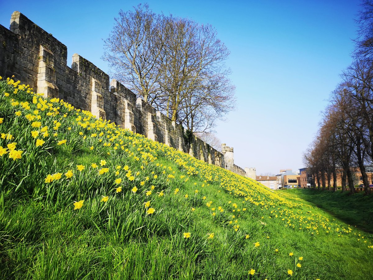 York St John University tweet media