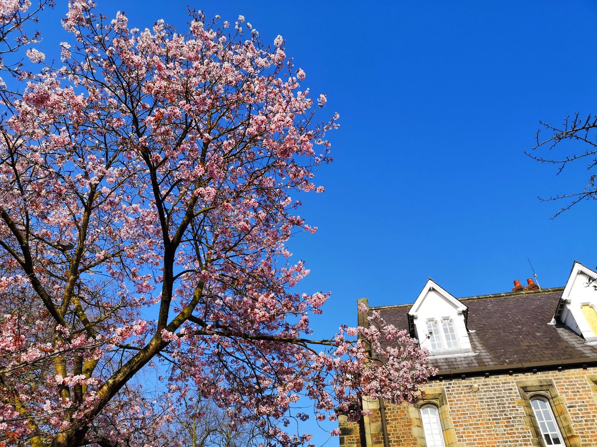 York St John University tweet media