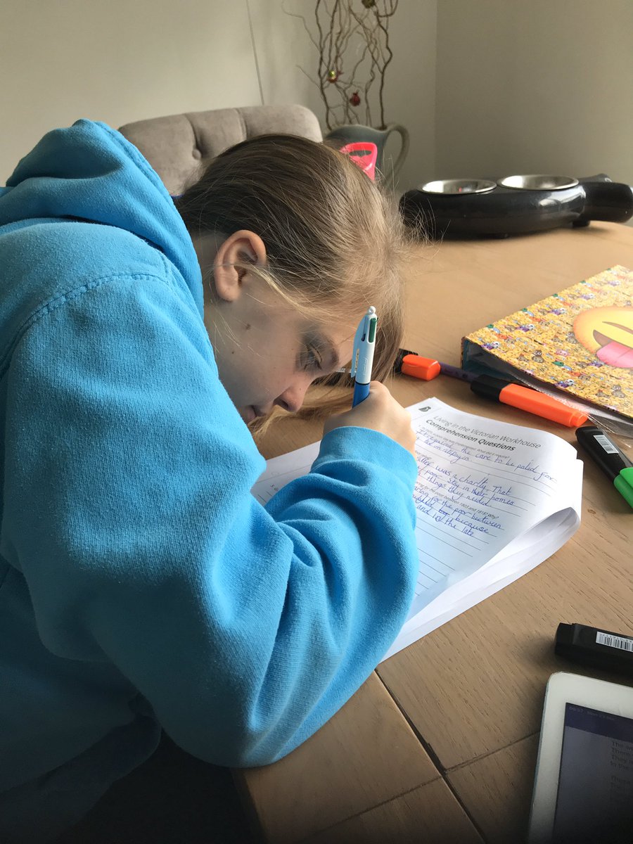 247badger's tweet photo. Home learning, painting rainbow butterflies, food prep lesson trying to get onto Frog for hours and timetabling. @ThurgolandPS https://t.co/usP8WCm85G
