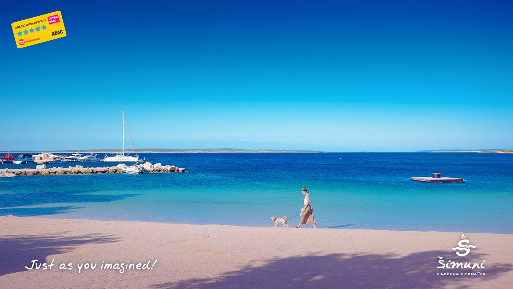 camping_simuni's tweet photo. Humans are not the only ones, #doggos also enjoy beach time! 💙🐶
Does your pet prefer the beach or the park?

#TakeCare #SeaYouSoon #CampingVillageSimuni https://t.co/dEuJloFKIr