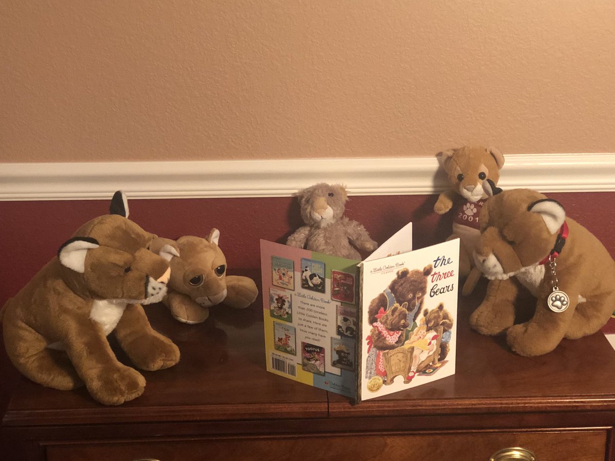 ajmcnamara3's tweet photo. “Little Cougars” social distancing 6” apart for story time! #CrunROCKS https://t.co/KrqrUT9Rrc