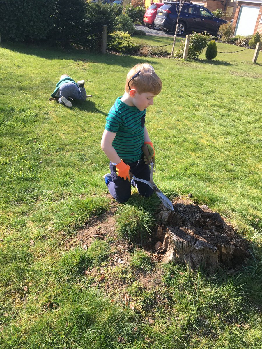 adamdgreenfield's tweet photo. What amazing weather we’ve had this week. Boys even did the lawn #firstcutoftheyear https://t.co/mOCzpspncu