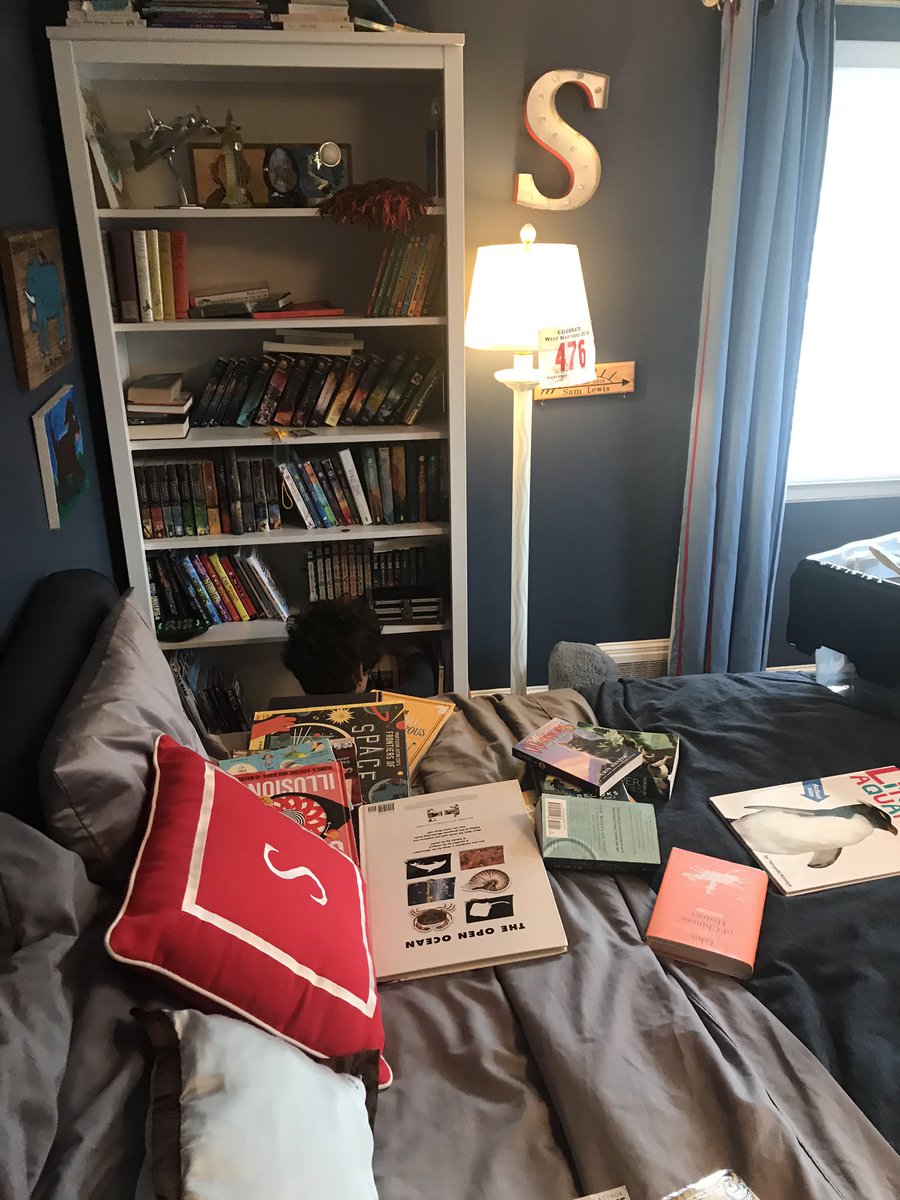 DS #BookShelf #organization project in progress. Does it count as #homeschooling? What #organizationprojects have you done so far?  #QuarantineLife #bookshelfie