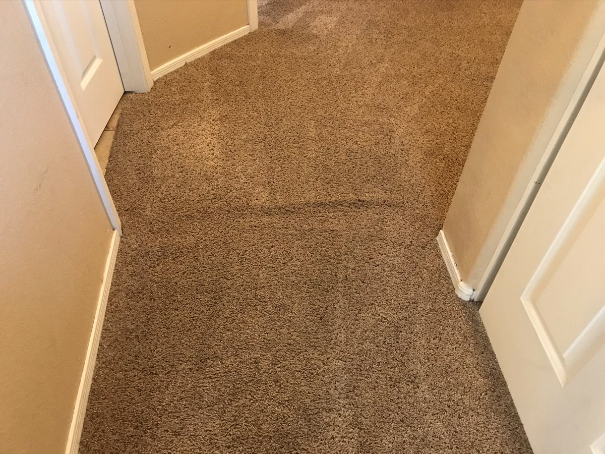 CardinlCarpetAZ's tweet photo. Carpet cleaning in Glendale AZ 85310 carpet cleaning pet stains!Mon-Sat8am-8pm.(602)678-1536 https://t.co/h5IAXpdtn8 #CarpetcleaningGlendaleAZ #85310 #Carpetcleaning #Tilegroutcleaning #Rugcleaning #Autointeriorcleaning #Samedayservice #Googlemybusiness https://t.co/cOtjrVKd1g