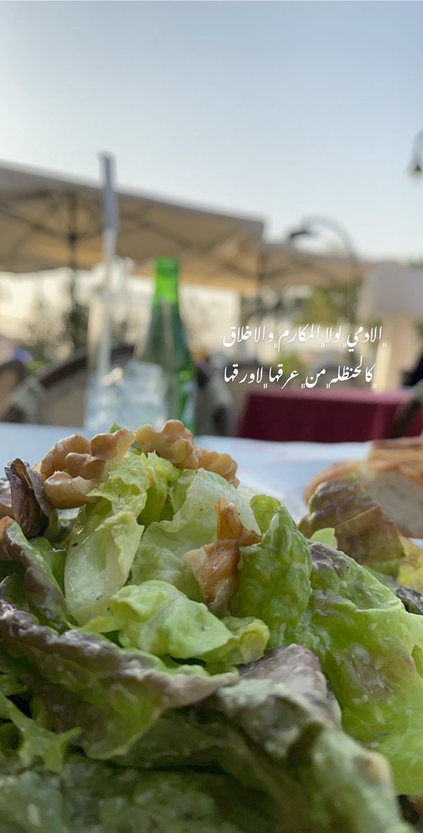 albasri_r's tweet photo. الادمـي لولا المكــارم والأخــلاق  كالحنظله من عـرقها لاورقهــا https://t.co/Hn3tDyOG7v