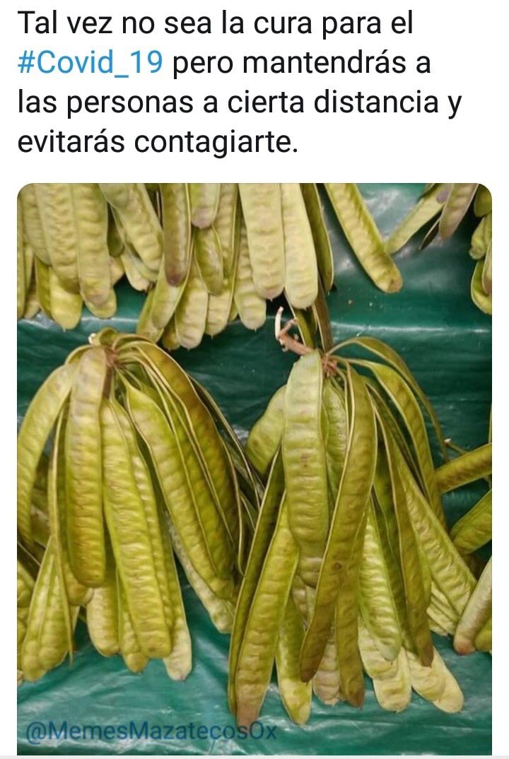 SenorLunas's tweet photo. Información que Cura... #QuedateEnCasaGT #CuarentenaTotal  #COVID19mx #CuidemosNuestrosAbuelitos https://t.co/OmiyQYzUYH