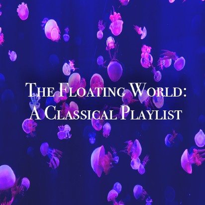 an image of jellyfish loating in the sea