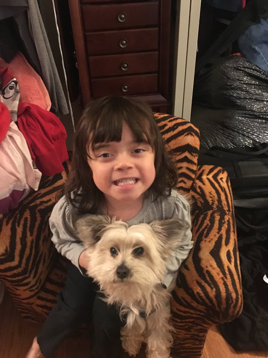 d61riley's tweet photo. Snaps from week 2! Virtual Pet show and tell and bear hunt! These ECE kiddos are working hard #d61learn @D61DeLay https://t.co/eRLWKN34RW