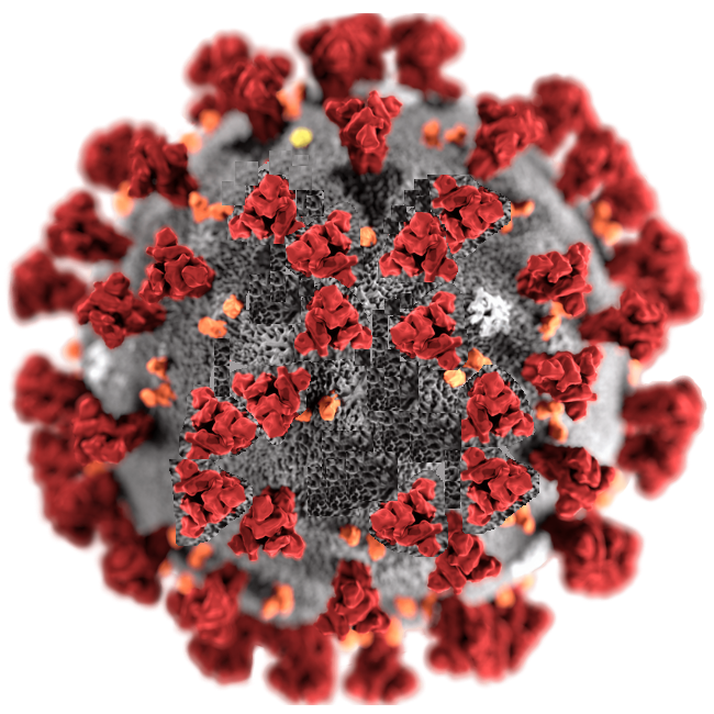 TsarlackONLINE's tweet photo. Stay informed with the latest info on #Coronavirus #pandemic #COVID-19 

https://t.co/J8jXpdpbel 
https://t.co/rNdaj7iDSF 
https://t.co/CNWUoYFxZi

#Tsarlack
#TsarlackONLINE
#TsarlGovt
#TsDEMA
#TsHD 
#BTsGH 
#DTPH 
#LHS 
#MTsHO
#UoT
#TsPD
#Corona https://t.co/ltIpWcMxI9