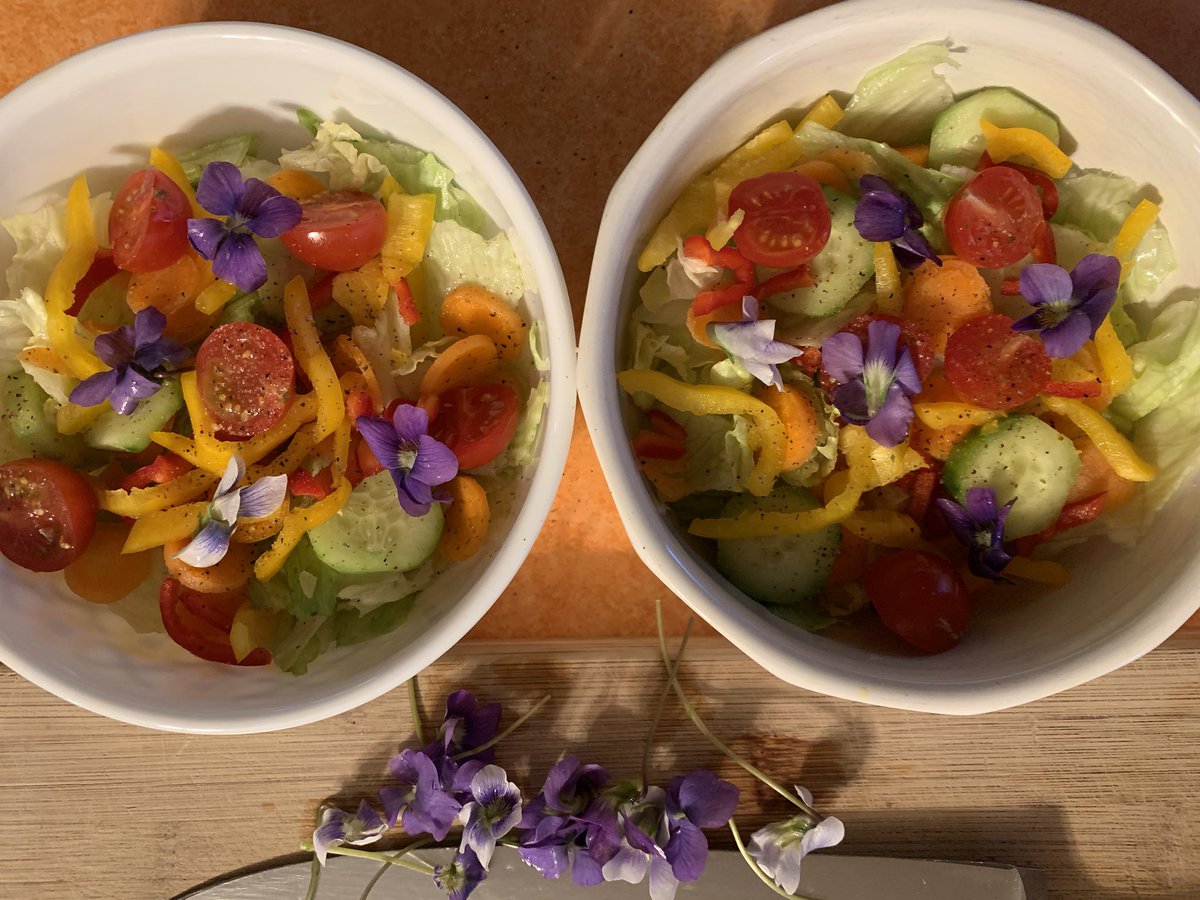 JasonOShell's tweet image. Adding violets to the salads, probably fine in small quantities even though they are in the Nightshade family 🥗