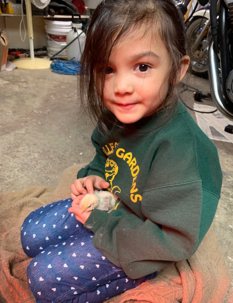 College Gardens tweet media