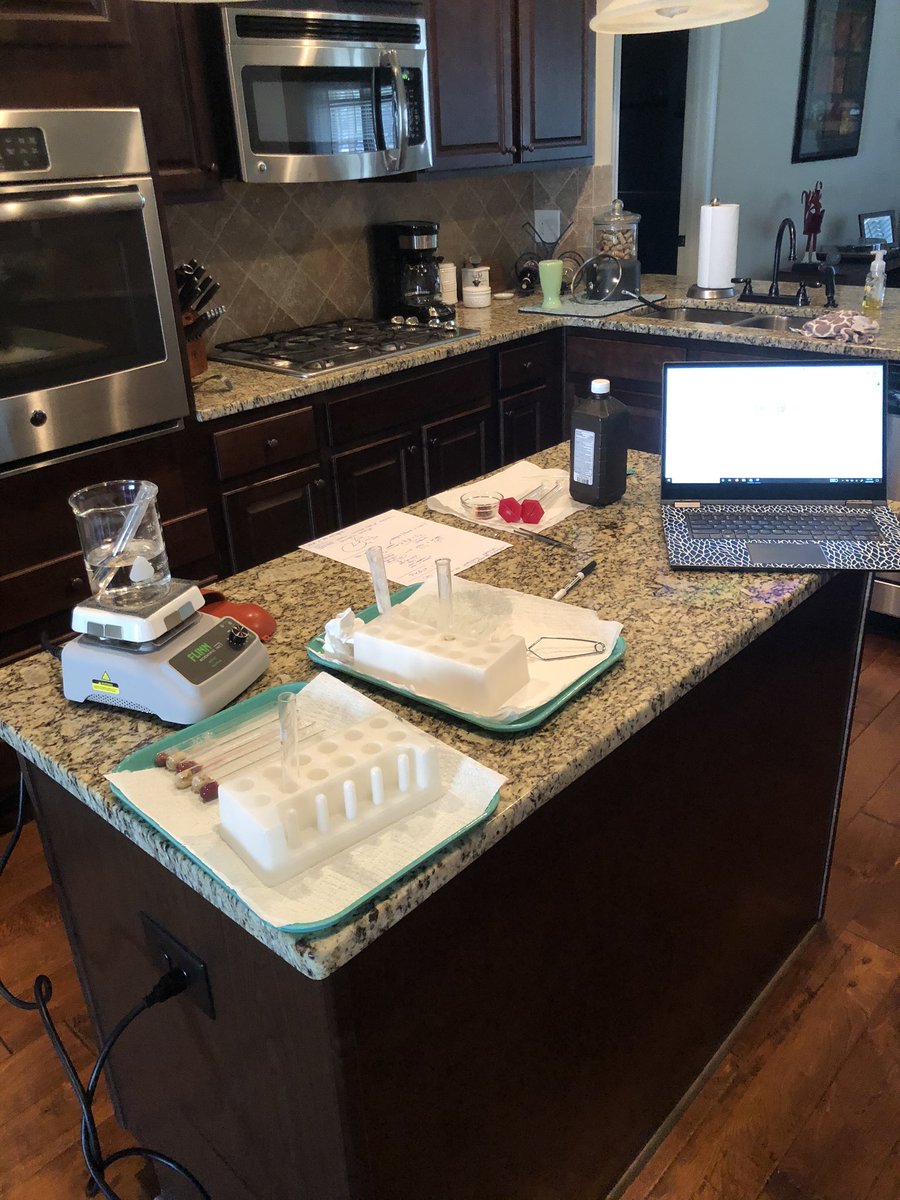 SVBeeBio's tweet photo. Today I did a thing...Liver Enzyme Lab POE from home while 19 of my @SV_Vikings Bio1 students joined in via Google Meet. So good to see their faces and hear their voices! #quarantineteacherlife #ScienceFromHome https://t.co/ylXows50CT