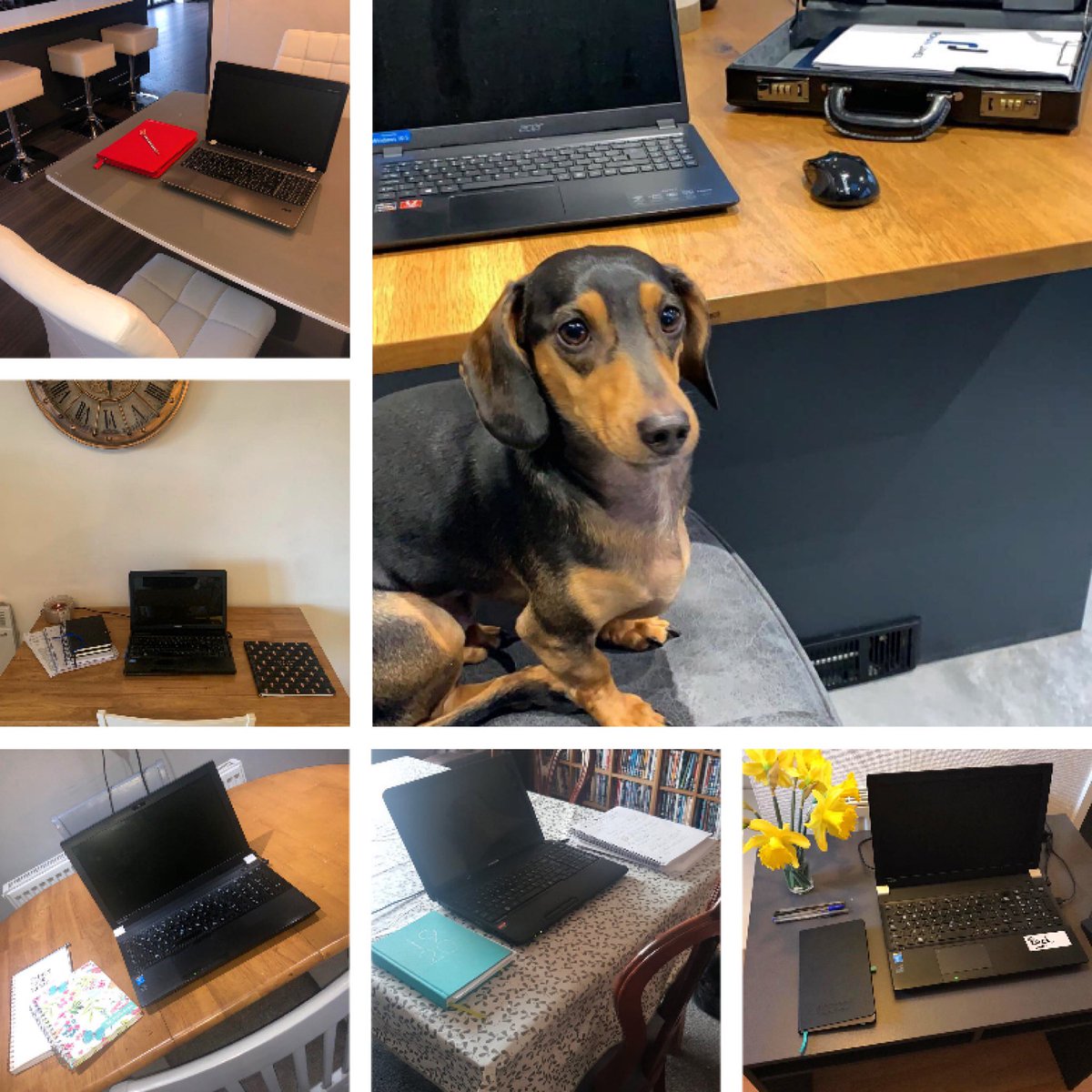 RJEstates's tweet photo. 💙 FROM OUR HOMES TO YOURS 💙

As we close off a challenging week we wanted to say a big thank you to our wonderful customers &amp; team who have adapted so well to working from home...🏡

4 completions today meant smiles all around &amp; we’ll continue to do our very best into Week 2 ❤️ https://t.co/oCYjImLANi