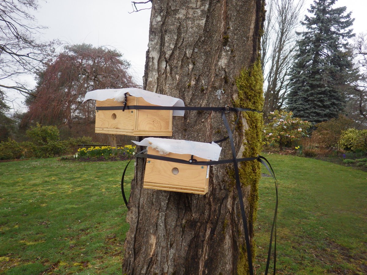 beespeaker tweet media