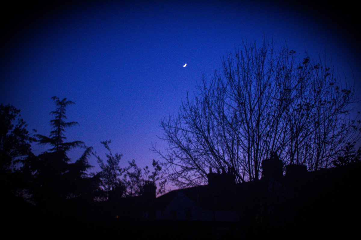 Peace.
#isolation #lockdown #COVID19 
#photography #suffolk