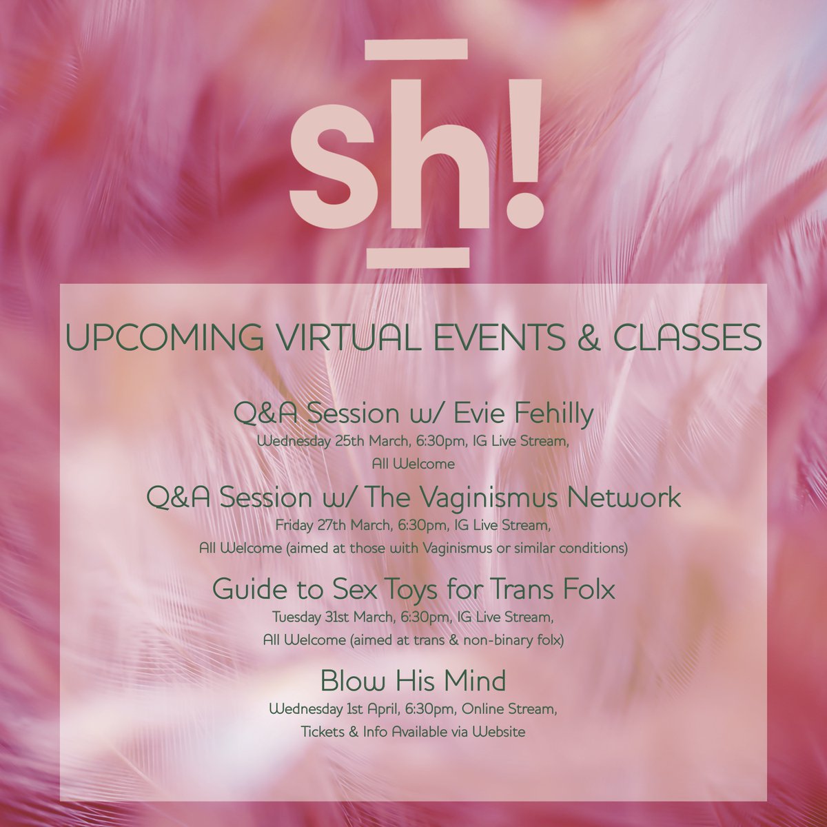 ShWomenstore's tweet photo. Such a pleasure having @TheVagNetwork join us on IG this evening!
We have LOTS more exciting events coming your way. 
Next Tuesday @EvieFehilly will be talking with @kelvinsparks_ all about sex toys for trans &amp; non-binary folx! 

#VaginismusAwareness #TransAwareness #VirtualSexEd https://t.co/RyajoqIs6O