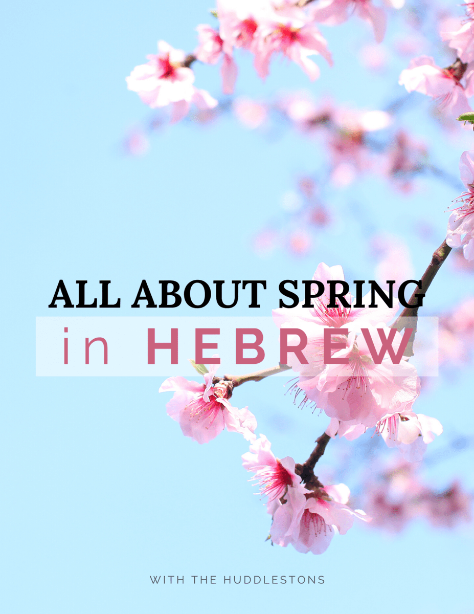 All About Spring in Hebrew withthehuddlestons.com/product/all-ab…