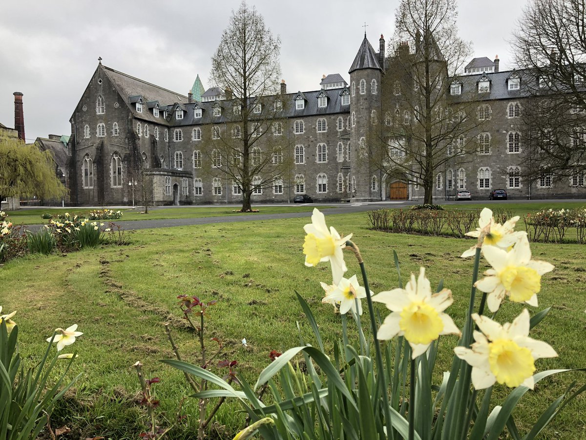 Had to make a once-off return visit to @StPatsMaynooth today to retrieve files from my computer. Since I’ve been away, #spring has arrived. A reminder that #hope endures and that there will be better days to come.