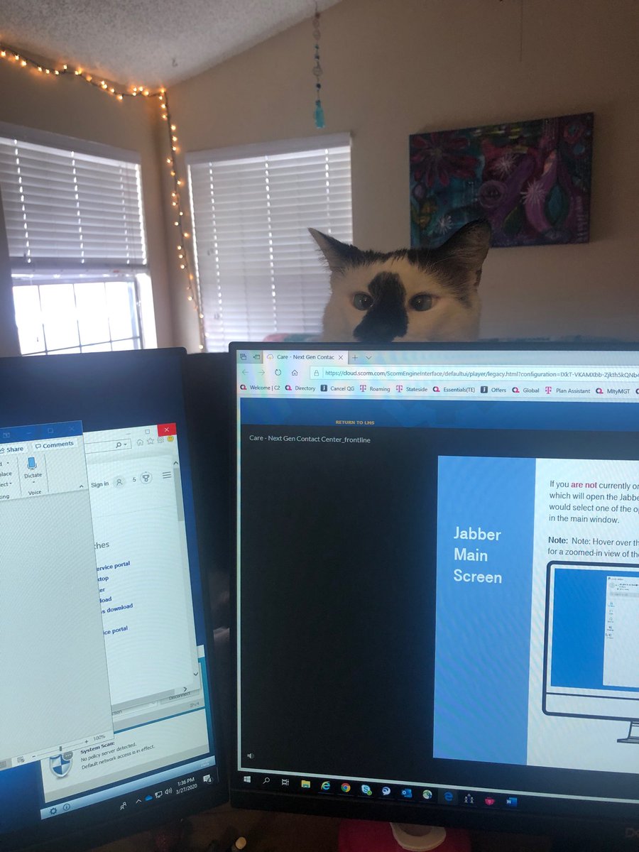 11pek26's tweet photo. My expert Chantel sent me this WFH picture. I 💜 her little helper! #Jeffersonstrong #TMobile #WFH ⁦@UKnow_Adolph⁩ ⁦@jgebing⁩ ⁦@GregThomas505⁩ ⁦@NicholOoo⁩ https://t.co/4zfakmXeCK