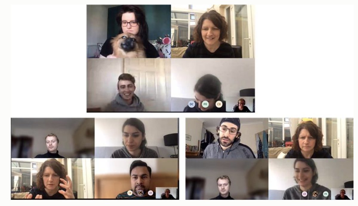 Gifford Lab (@giffordlab) on Twitter photo Gifford lab meeting was fun! 'at home but still together'! Thanks <a href="/HelWilko/">Dr Helen Wilkinson 🦩</a> for bringing Lyra and @BeatrizLagunas for getting everyone there! <a href="/bio_beth/">Dr Beth Richmond</a> <a href="/LukeZRich/">Luke Richards</a> <a href="/Proyash_Roy/">Proyash Roy</a> Cantug & Daire #slsamazing Gifford lab meeting was fun! 'at home but still together'! Thanks <a href="/HelWilko/">Dr Helen Wilkinson 🦩</a> for bringing Lyra and @BeatrizLagunas for getting everyone there! <a href="/bio_beth/">Dr Beth Richmond</a> <a href="/LukeZRich/">Luke Richards</a> <a href="/Proyash_Roy/">Proyash Roy</a> Cantug & Daire #slsamazing