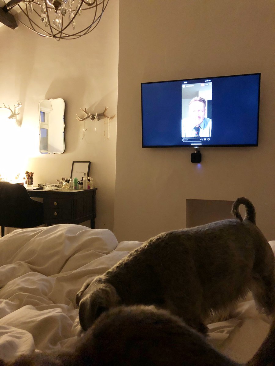 We pub quizzed with <a href="/TechnicallyRon/">TechnicallyRon (On all the platforms)</a> this evening. We didn’t score well. The dog was useless.