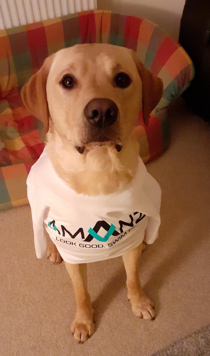 russell13_julia's tweet photo. @HannahMiley89 - @emmarussell51 tried squats with dog weights.. eh.. Harry says no thank you! 🙈🐾🤣 #lackofdogcooperation #missswimming #beatingasone @ScottishSwim @swimHearts @amanziswimwear https://t.co/8HLjemeMTa