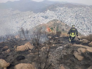 Ver imagen en Twitter