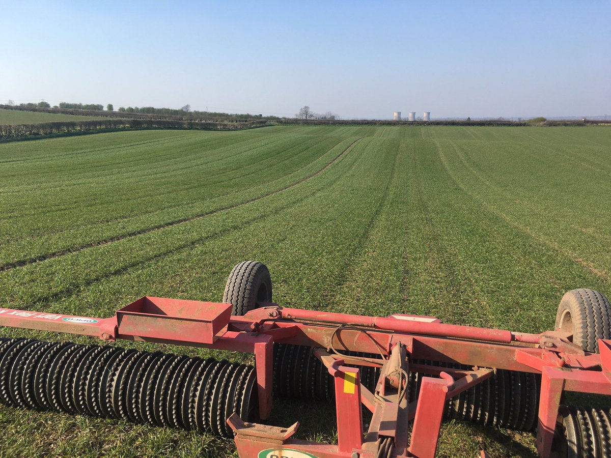 Dave Taylor tweet media