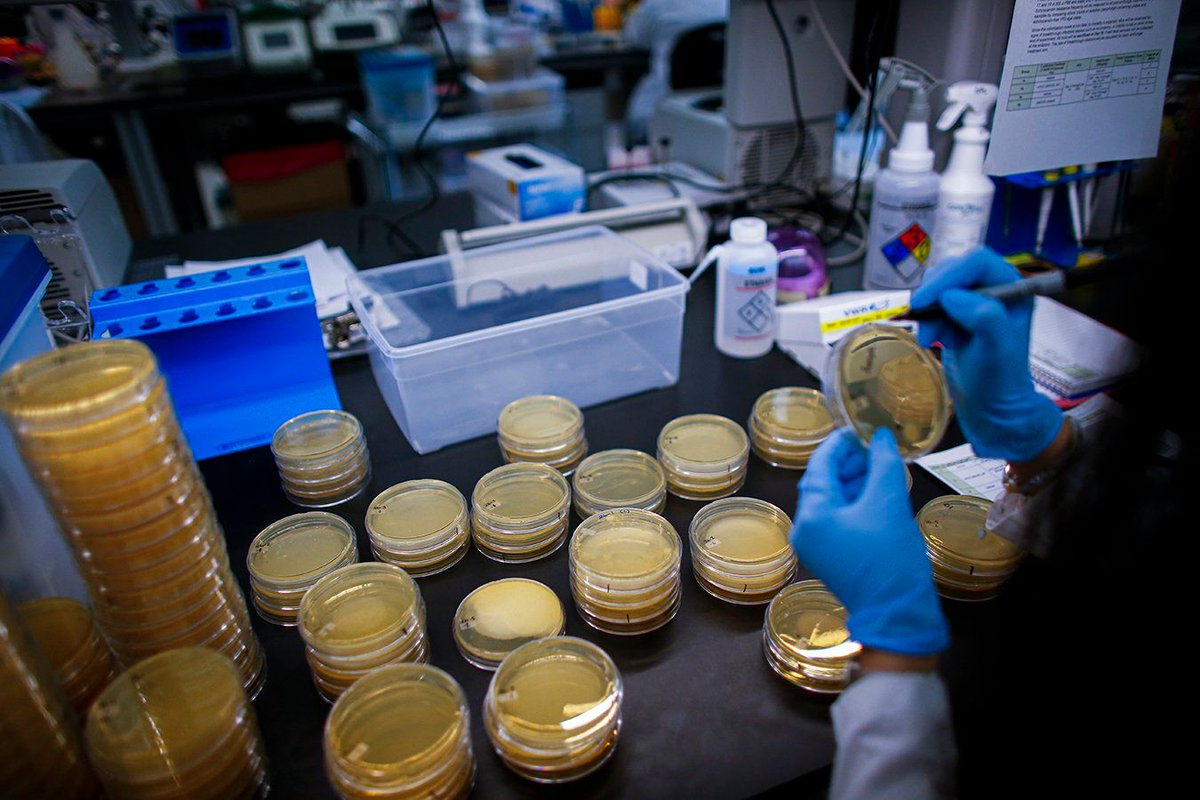 BongeneSearch's tweet photo. #Biopharma's leading treatment hopes against #COVID19: https://t.co/Jnpxv33znX https://t.co/P4Qz2YA1dH