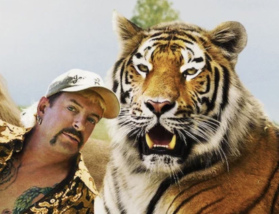 Hd Report On Twitter The Disturbing But Addictive Series Tiger