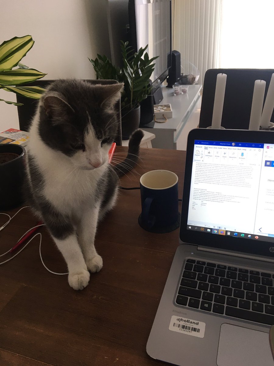 Thuiswerken week 2 #lerenisdurven @Inholland