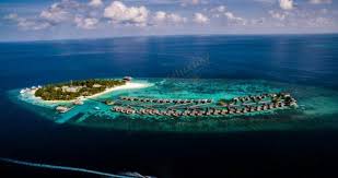 LvtuTravel's tweet photo. Welcome to the beautiful Maldives. The pleasant climate and beautiful scenery will make your vacation more enjoyable. https://t.co/WnJL1UyGMH