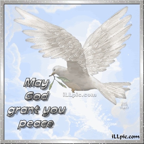 So I'm actually a Christian, love the Lord, pray for all my followers. I saw this and thought it was<a href="/tag/tittuesday"class="tags"><span>#tittuesday</span></a>