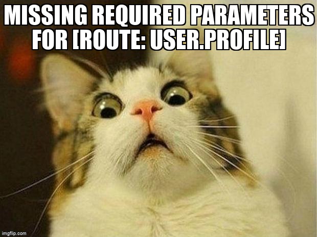 overflow_meme's tweet image. Missing required parameters for [Route: user.profile] stackoverflow.com/questions/6088… #php #laravel #laravelrouting