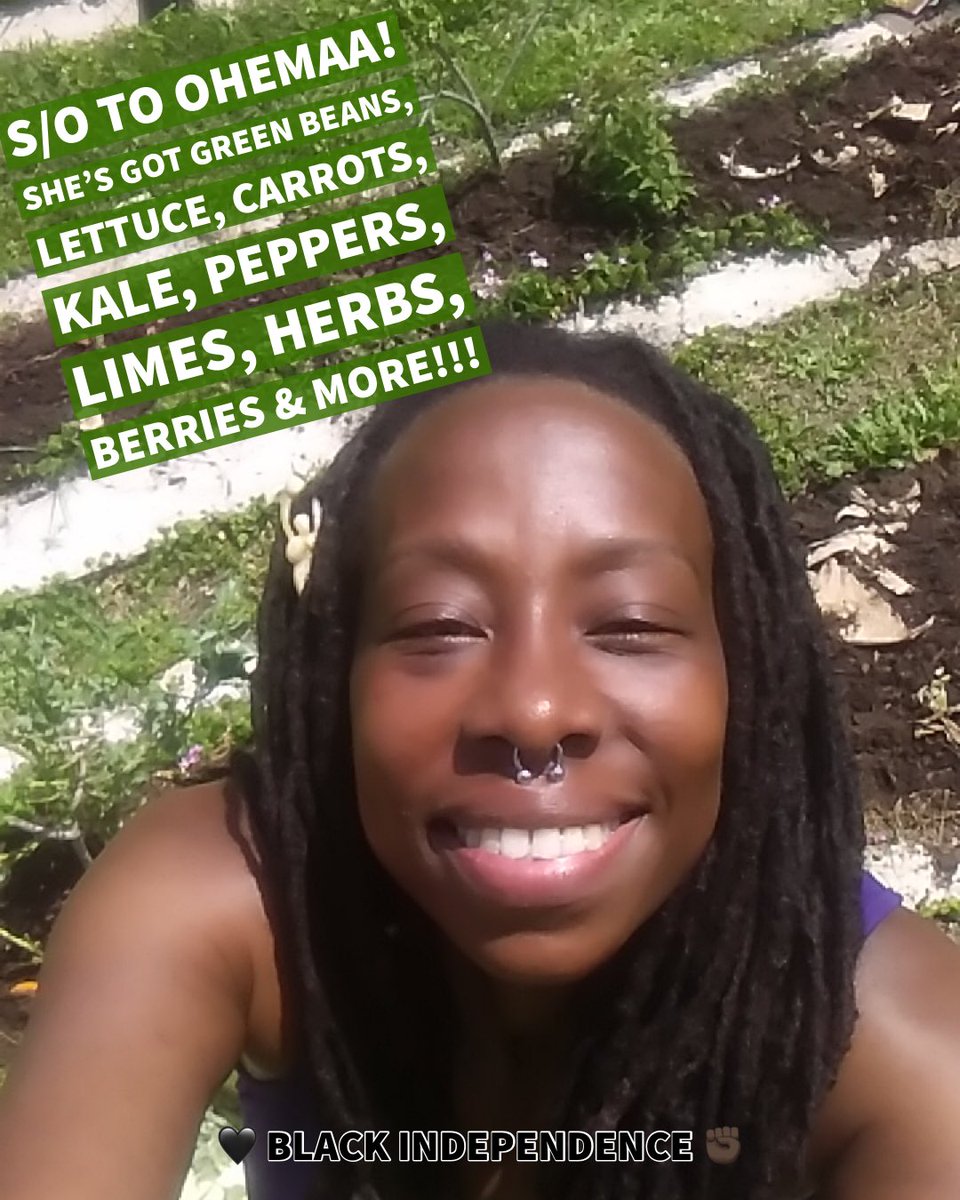 ShrineCenterHOU's tweet photo. S/o @queenrobbie ✊🏿🖤

HTOWN &amp; beyond we want to shout you out! Inspire our people to return to #BlackIndependence!

#Blackgardeners #Blackfarmers #BlackSolutions #Blackbusinessowner #Blackeconomy #BuyBlackMarketplace #BlackHouston https://t.co/KYj4plHSB7