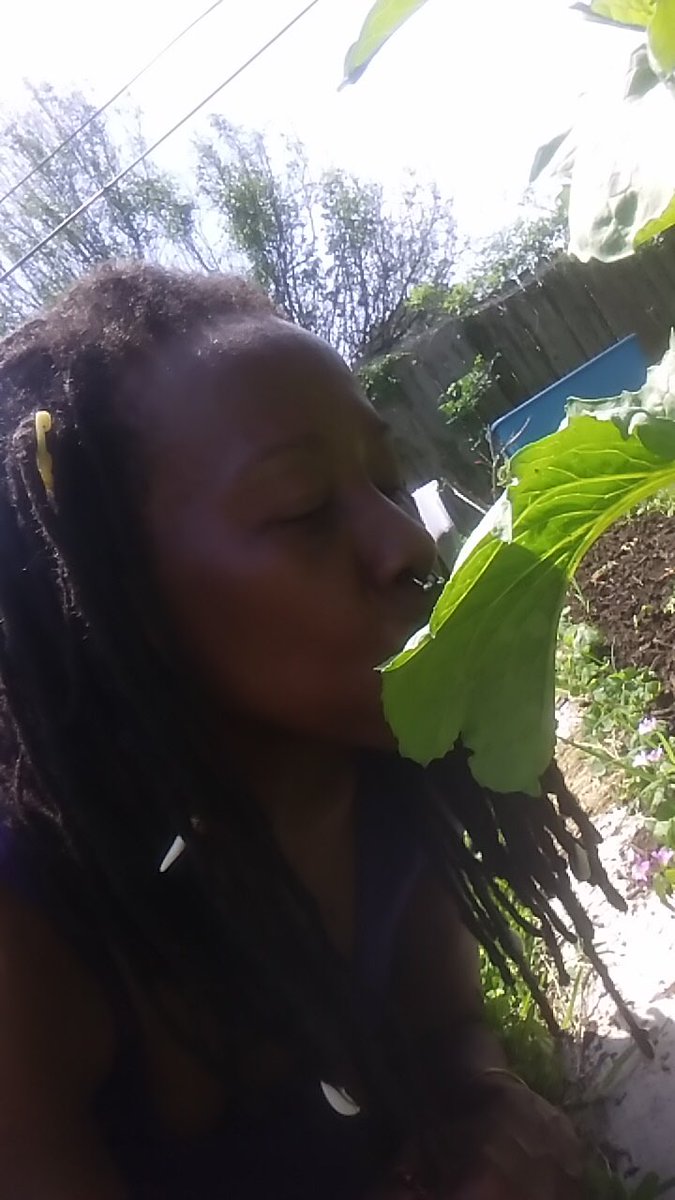 ShrineCenterHOU's tweet photo. S/o @queenrobbie ✊🏿🖤

HTOWN &amp; beyond we want to shout you out! Inspire our people to return to #BlackIndependence!

#Blackgardeners #Blackfarmers #BlackSolutions #Blackbusinessowner #Blackeconomy #BuyBlackMarketplace #BlackHouston https://t.co/KYj4plHSB7