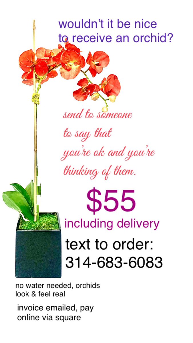 twigsandmoss's tweet photo. #sendflowers https://t.co/QHIxyJflGb