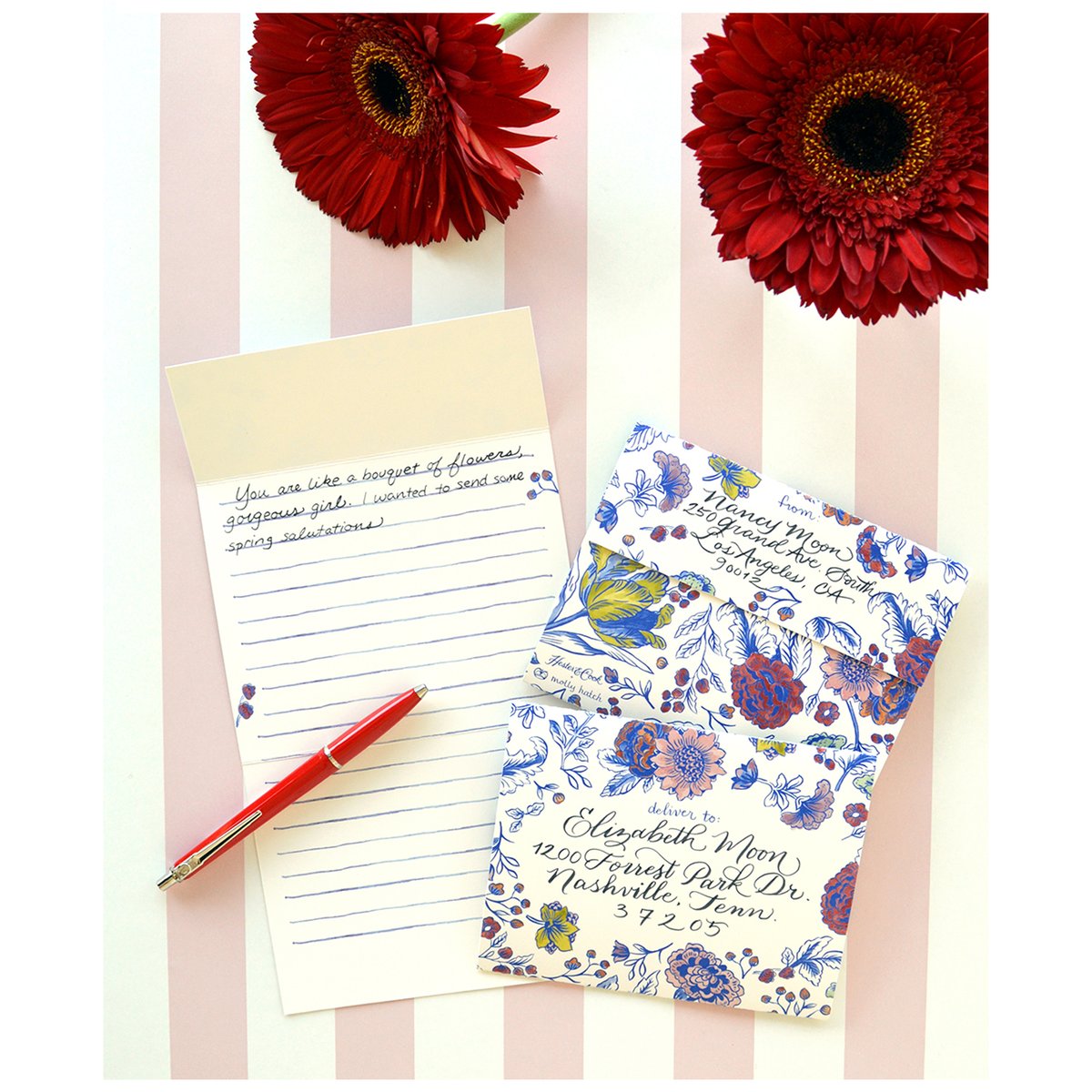 Hester & Cook tweet media