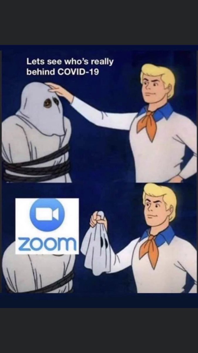 I, along with many other educators, over the last 2 weeks am very thankful for @zoom_us but this is funny! #distancelearning