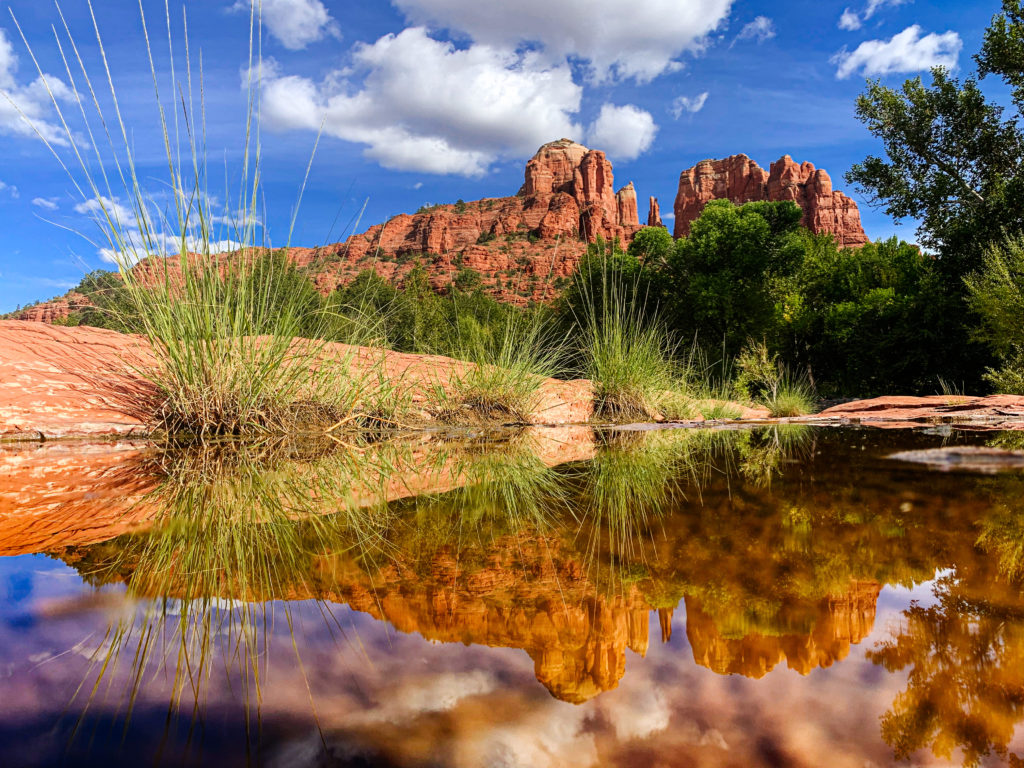 Hoffer Photography tweet media