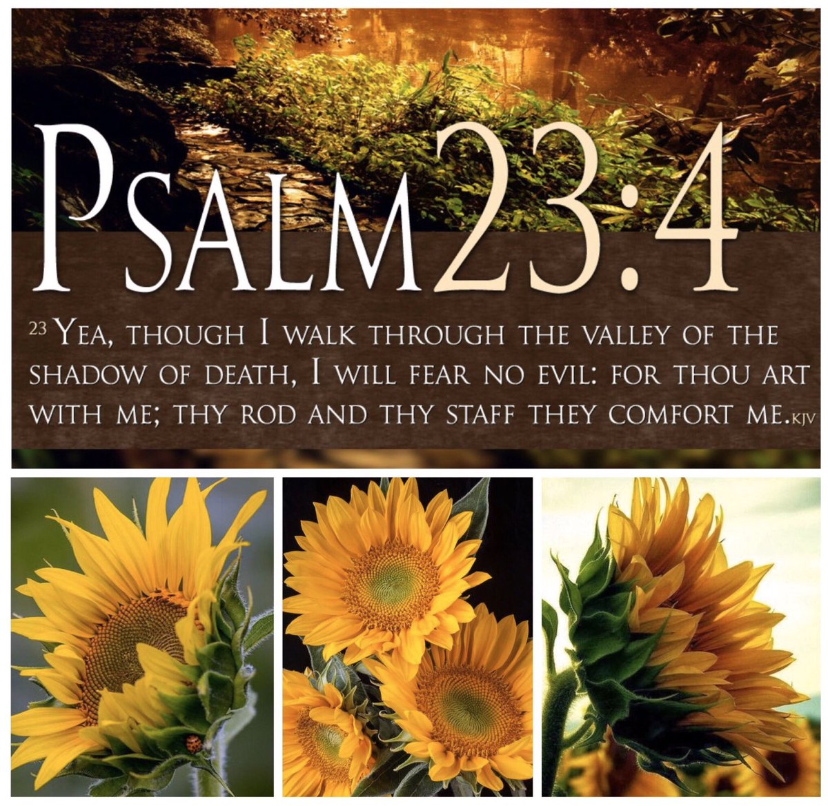 Be BLESSED Everyone🌻