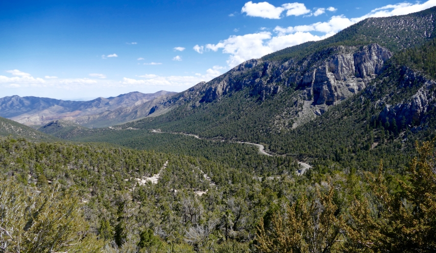 ClarkCountyNV's tweet photo. Some people dealing with cabin fever due to #COVID19 may be tempted to head for @GoMtCharleston this weekend. Be aware a new order has been issued restricting group sizes to 9 people in Nevada on @forestservice lands because of #Coronavirus. This includes Mt. Charleston. #Vegas https://t.co/dJEWy8z6mP