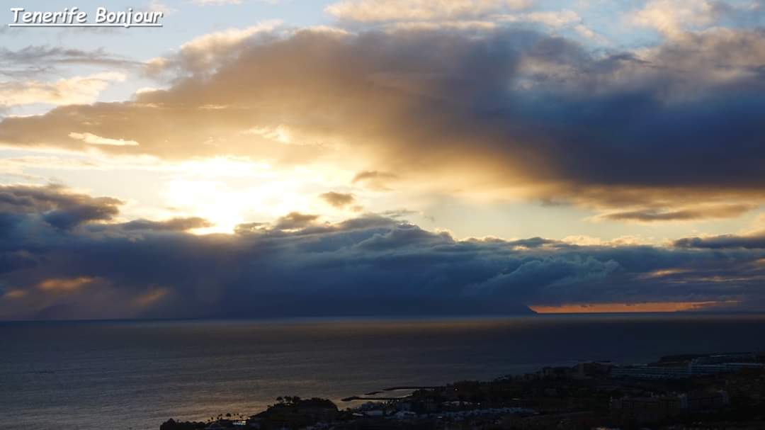 TenerifeBonjour tweet media