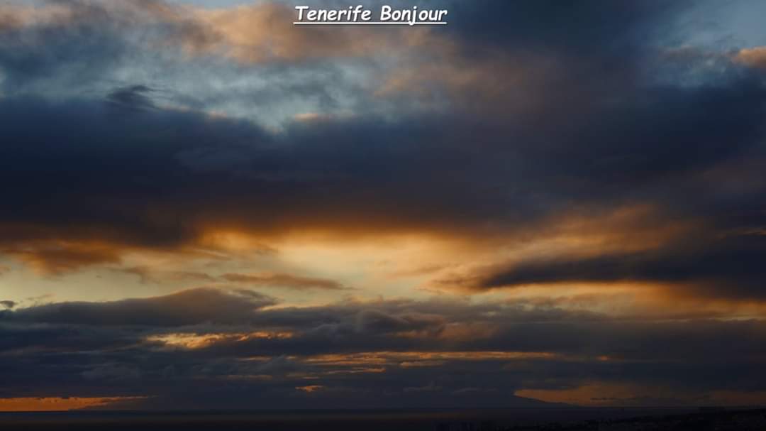 TenerifeBonjour tweet media