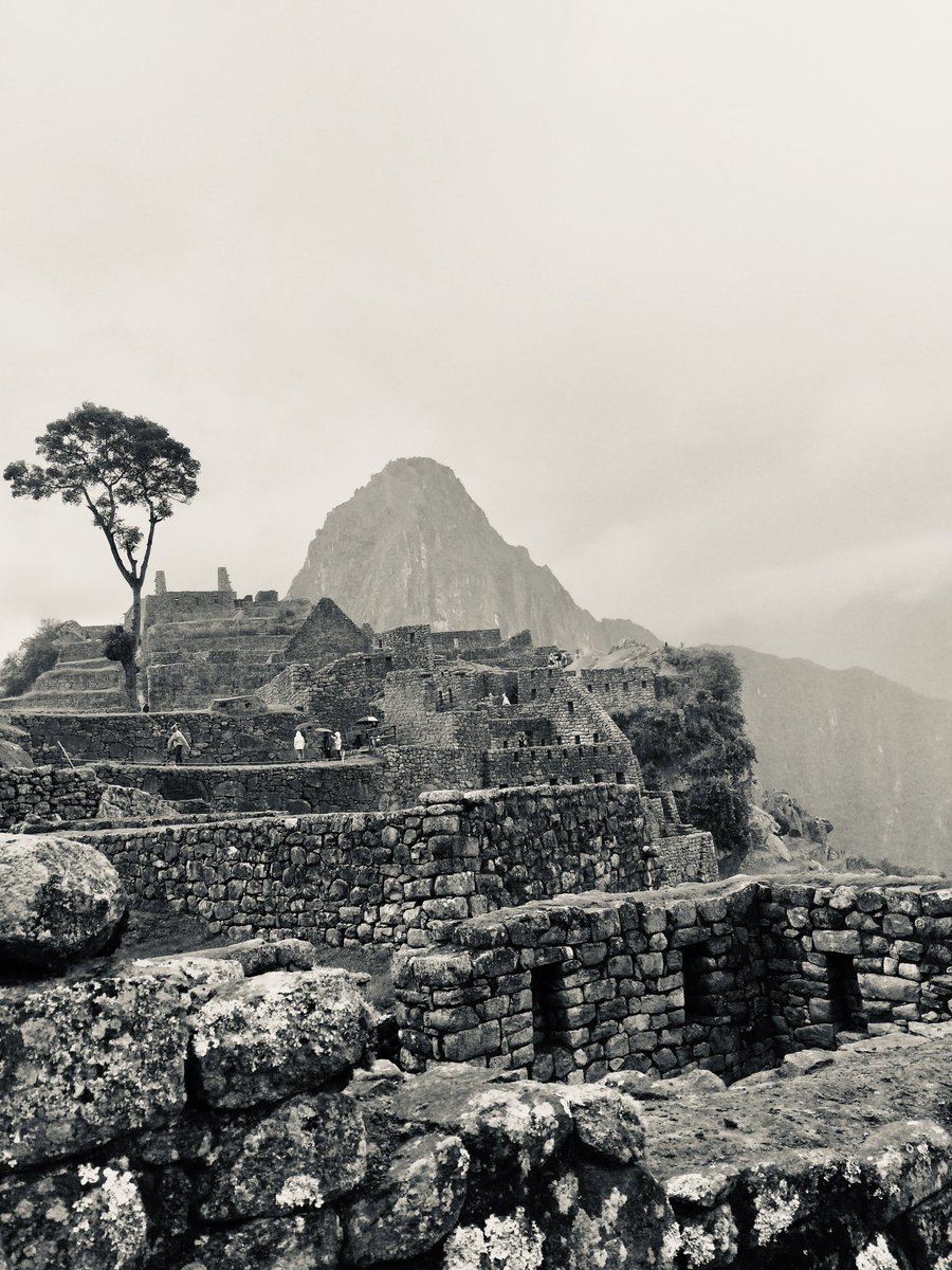 TheNomadelle's tweet photo. Machu Picchu in the native Quechua language means “old mountain”. This Inca city was built in the 15th century but later abandoned. It’s now a UNESCO World Heritage site.
#Nomadelle #Travel #DigitalNomad #aYearOff #machuPicchu #peru #UNESCO #worldtravel https://t.co/JevCwxLpV1