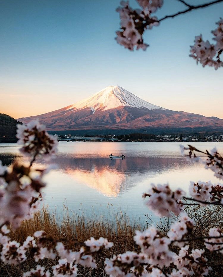 Inn3rCompasss's tweet photo. When you let Nature take its course , that’s when the magic really happens 🌬🌸🏔 #TrustLife #TrustTheProcess #SeasonsOfLife 
📍Mt Fuji, Japan 
📷 by @ ryanresatka
#TravelTheWorldWithMe #FollowYourHeart #FollowYourInn3rCompass #Inn3rCompass #BeautyIsInTheEyeOfTheBeholder #Travel https://t.co/RcSPe2FZzY